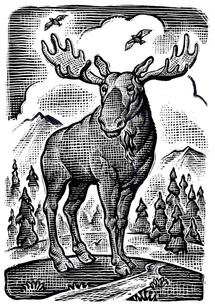 Moose Illustration © 2020 Bill Russell